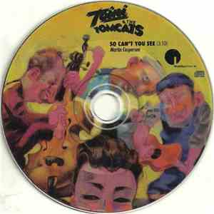 Toini & The Tomcats - So Can't You See