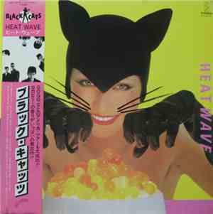 Black Cats  - Heat Wave