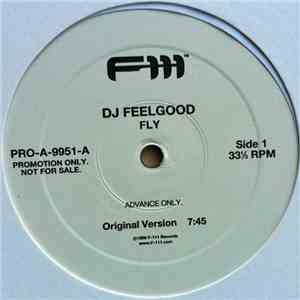 DJ Feelgood - Fly