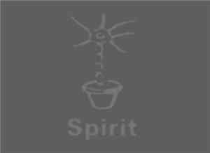 Neuroplant - Spirit