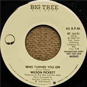 Wilson Pickett - Who Turned You On