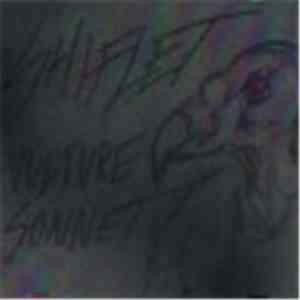Mike Shiflet - Vulture Sonnet
