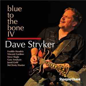 Dave Stryker - Blue To The Bone IV