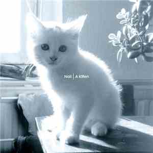 Nail - A Kitten