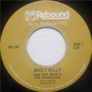 Sam The Sham & The Pharaohs, The Swinging Blue Jeans - Wooly Bully / Hippy  ...