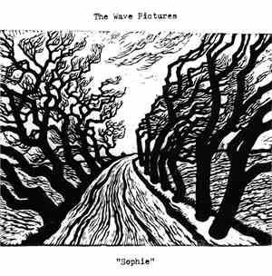 The Wave Pictures - 