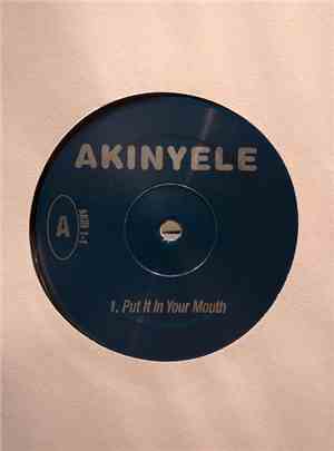 Akinyele - Put It In Your Mouth / Sex In The City