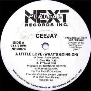 Ceejay - A Little Love (What's Going On)