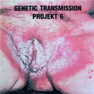 Genetic Transmission - Projekt 6