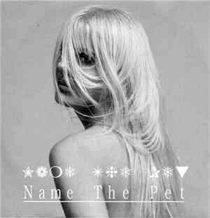 Name The Pet - Get On The Bus