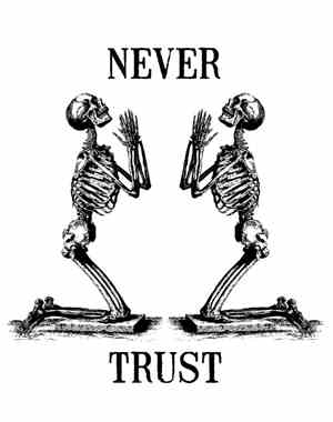 Never Trust - Demo