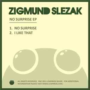 Zigmund Slezak - No Surprise EP
