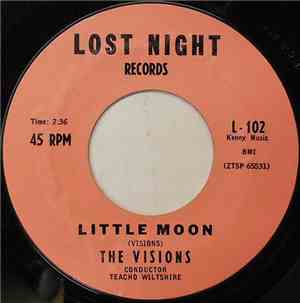 The Visions  - Little Moon