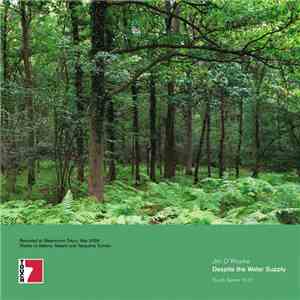 Jim O'Rourke - Despite The Water Supply