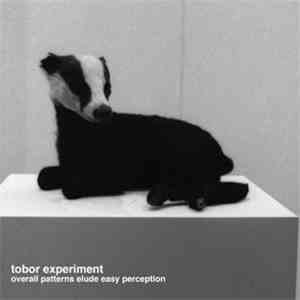 Tobor Experiment - Overall Patterns Elude Easy Perception