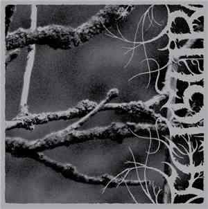Feigur - II, Desolation