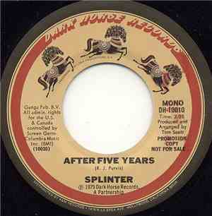 Splinter  - After Five Years
