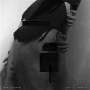 Public Memory - Veil Of Counsel