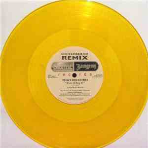 That Kid Chris - Can U Dig It (Remixes)