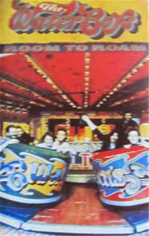 The Waterboys - Room To Roam