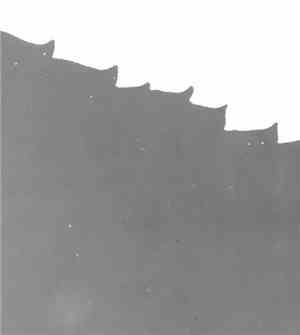 Bruno Duplant, Pedro Chambel, Jamie Drouin - Field By Memory Inhabited 1 &  ...