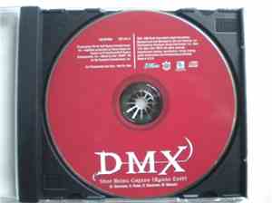 DMX - Stop Being Greedy (Radio Edit)