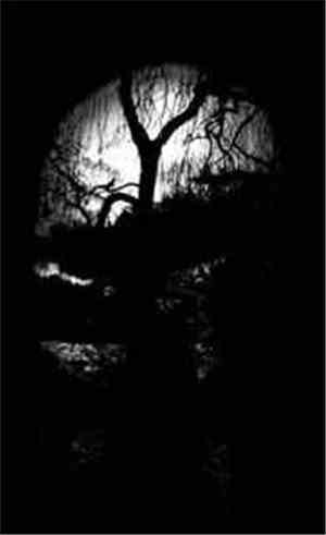 Goat Thron / Sealed In Blood - Heerwegenian Voices From The Grave Vol. I