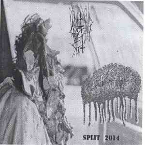Infected Bowels / Vomiting Shit - Split 2014
