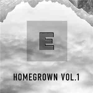 Various - HOMEGROWN vol. 1