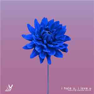 We Rabbitz Featuring Chelsea Collins - I Hate U, I Love U