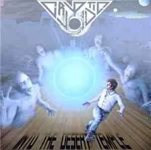 Cryptic Void  - Into The Desert Temple