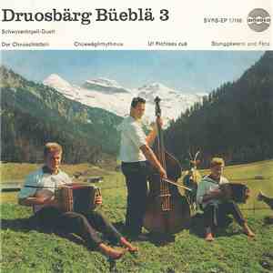 Druosbärg Büeblä - 3