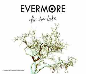 Evermore - It's Too Late
