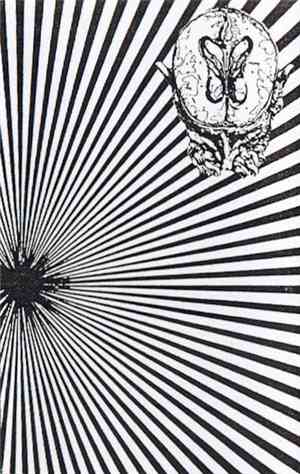 The Land Of Yrx - Cerebration
