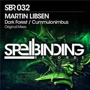 Martin Libsen - Dark Forest / Cummulonimbus