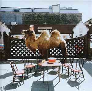 Wilco - Wilco (The Album)