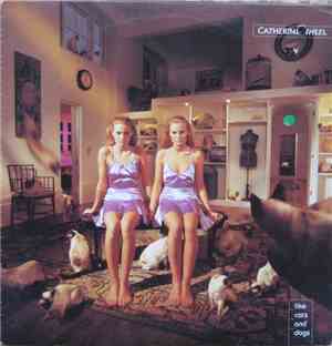 Catherine Wheel - Like Cats And Dogs