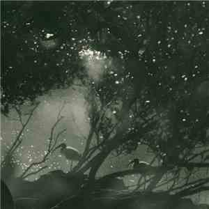 Chris Abrahams - Play Scar