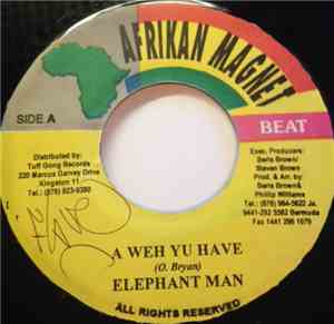 Elephant Man, Hit List - A Weh Yu Have / Seh Eh