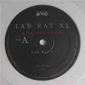Lab Rat XL - Mice Or Cyborg