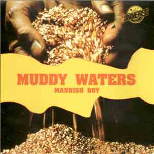 Muddy Waters - Mannish Boy