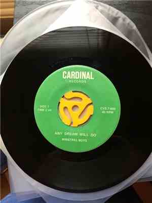 The Minstrel Boys - Any Dream Will Do