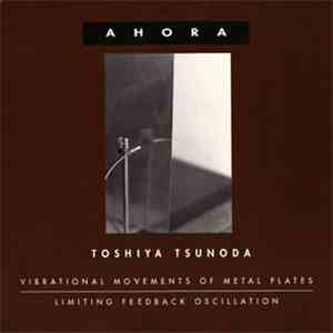 Toshiya Tsunoda - Vibrational Movements Of Metal Plates / Limiting Feedback ...