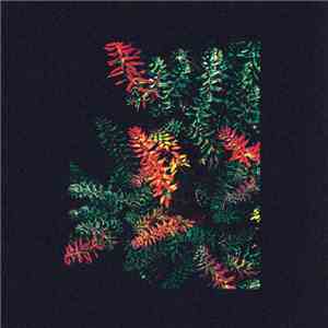 Dark Sky  - Othona