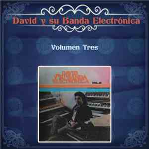 David Y Su Banda Electrónica - Volúmen Tres