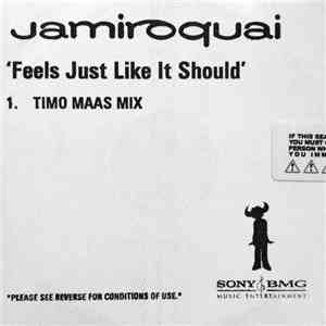 Jamiroquai - Feels Just Like It Should (Timo Maas Mix)
