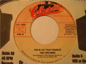 The Fortunes - You've Got Your Troubles