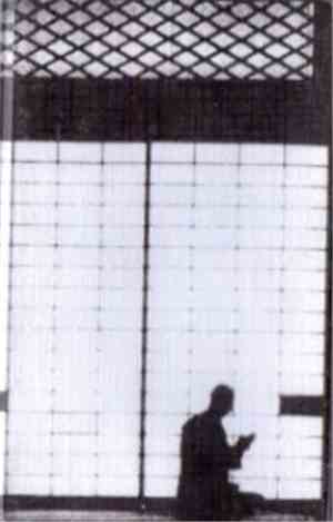 Alexander Adams - Stray Voices Over Roaming