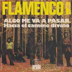 Flamenco  - Algo Me Va A Pasar