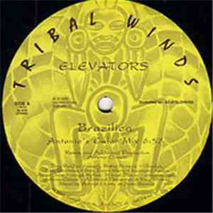 Elevators - Brazilica
